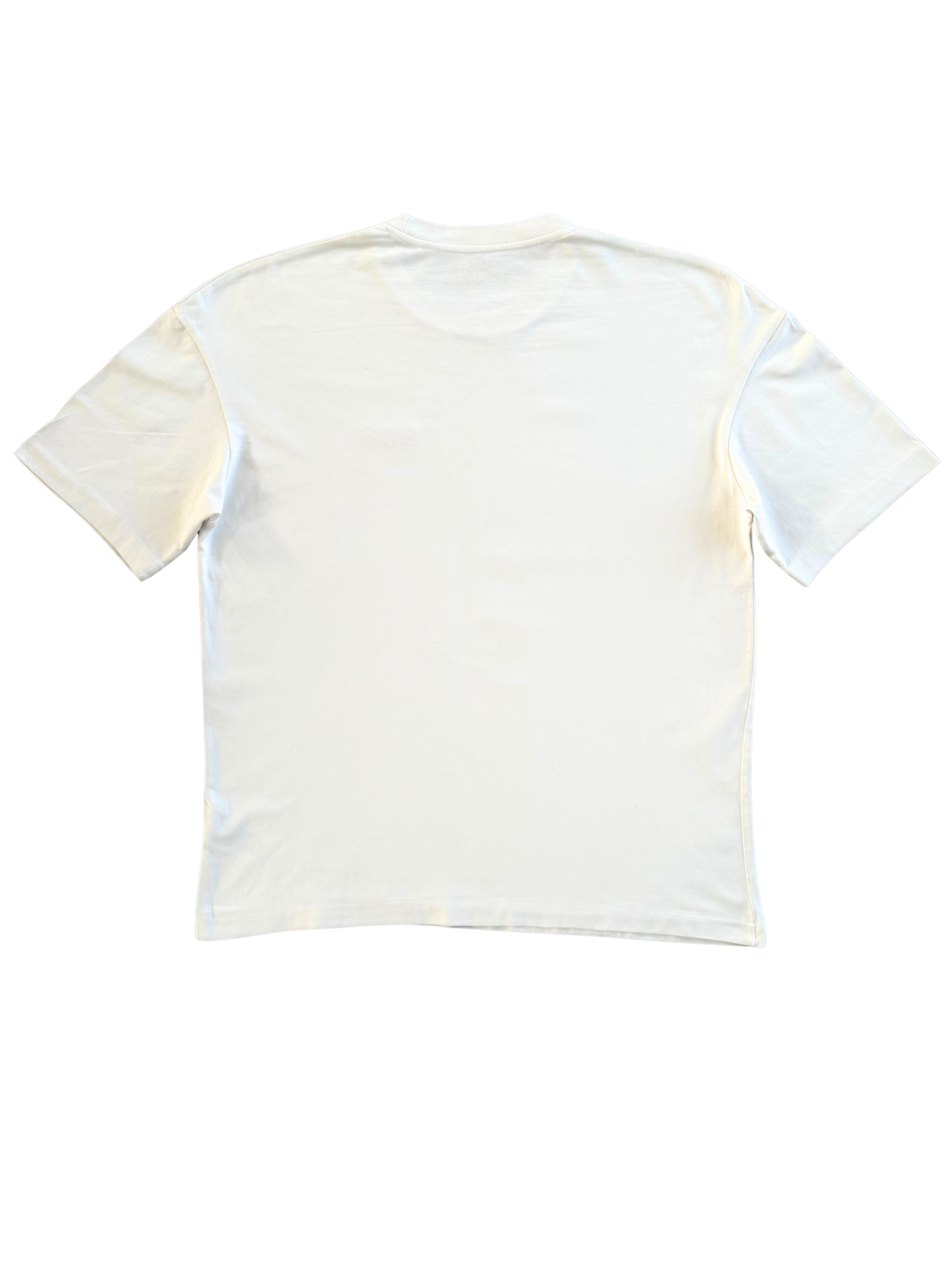 T-Shirt Oversize Premium unisexe – 100% Coton Bio (220g/m²) BEIGE